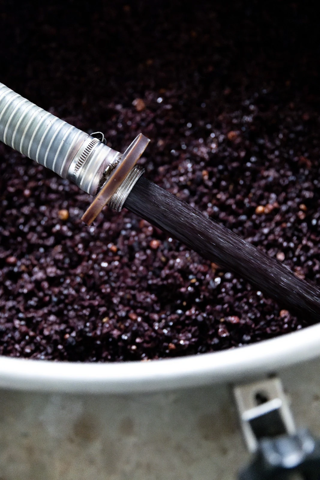 A curated collection of wine bottles